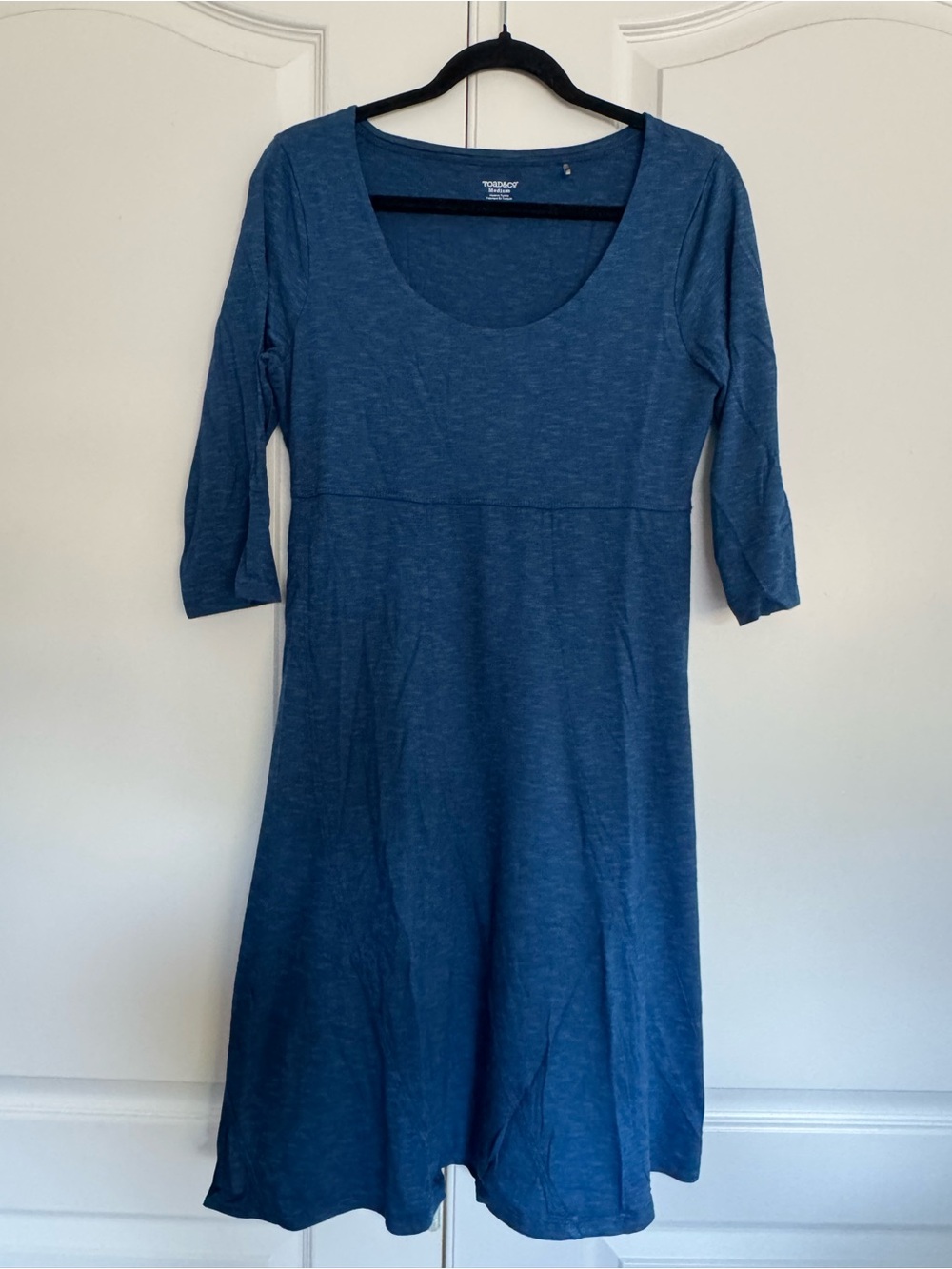 Toad & Co Blue Scoop Neck Fit-and-Flare Dress